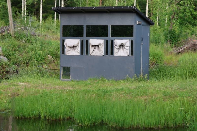 Pandion